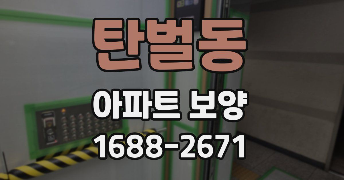 탄벌동 아파트 보양