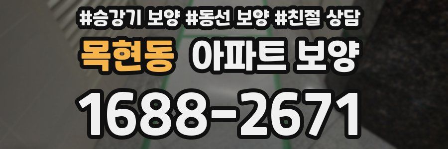 목현동 아파트 보양