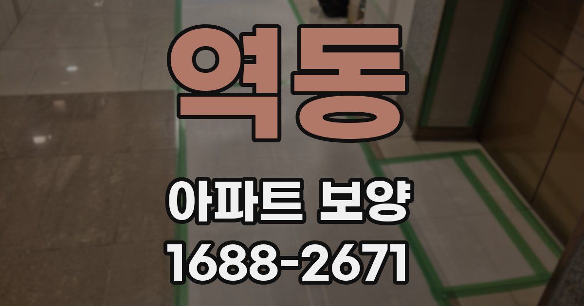 역동 아파트 보양