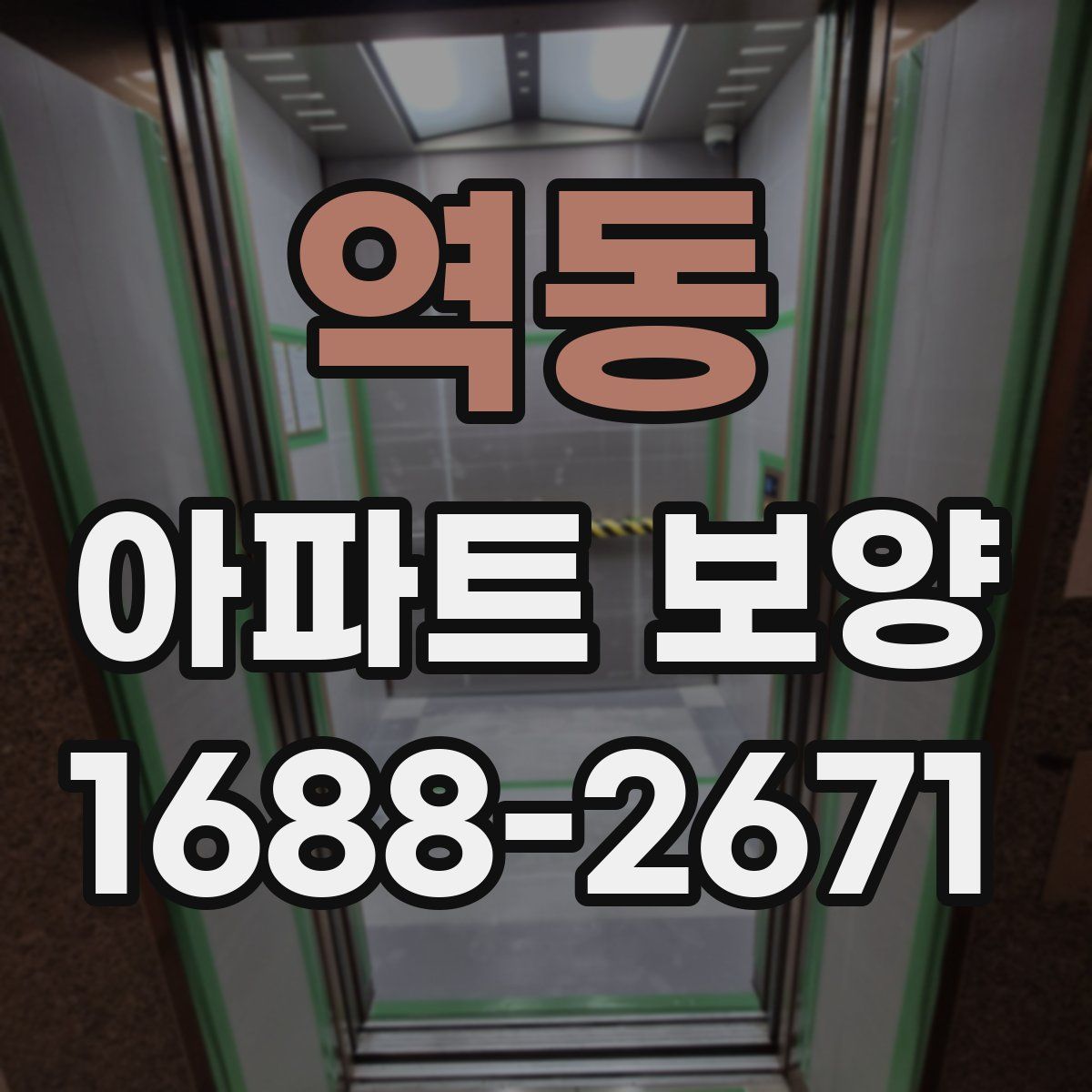역동 아파트 보양