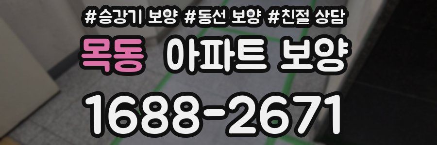 목동 아파트 보양