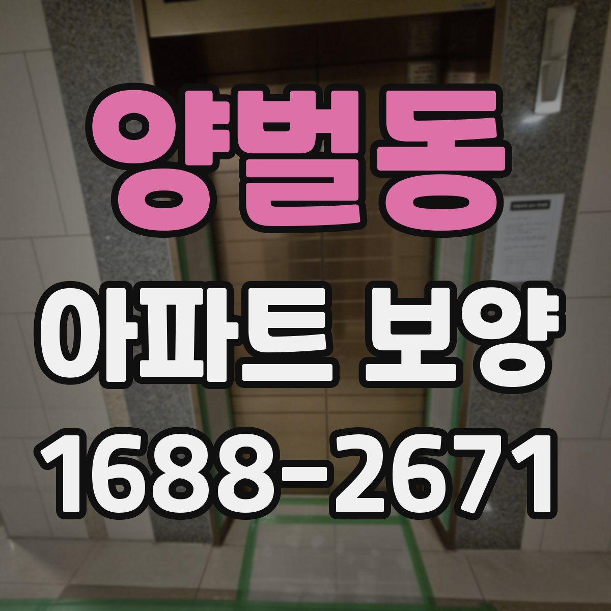 양벌동 아파트 보양
