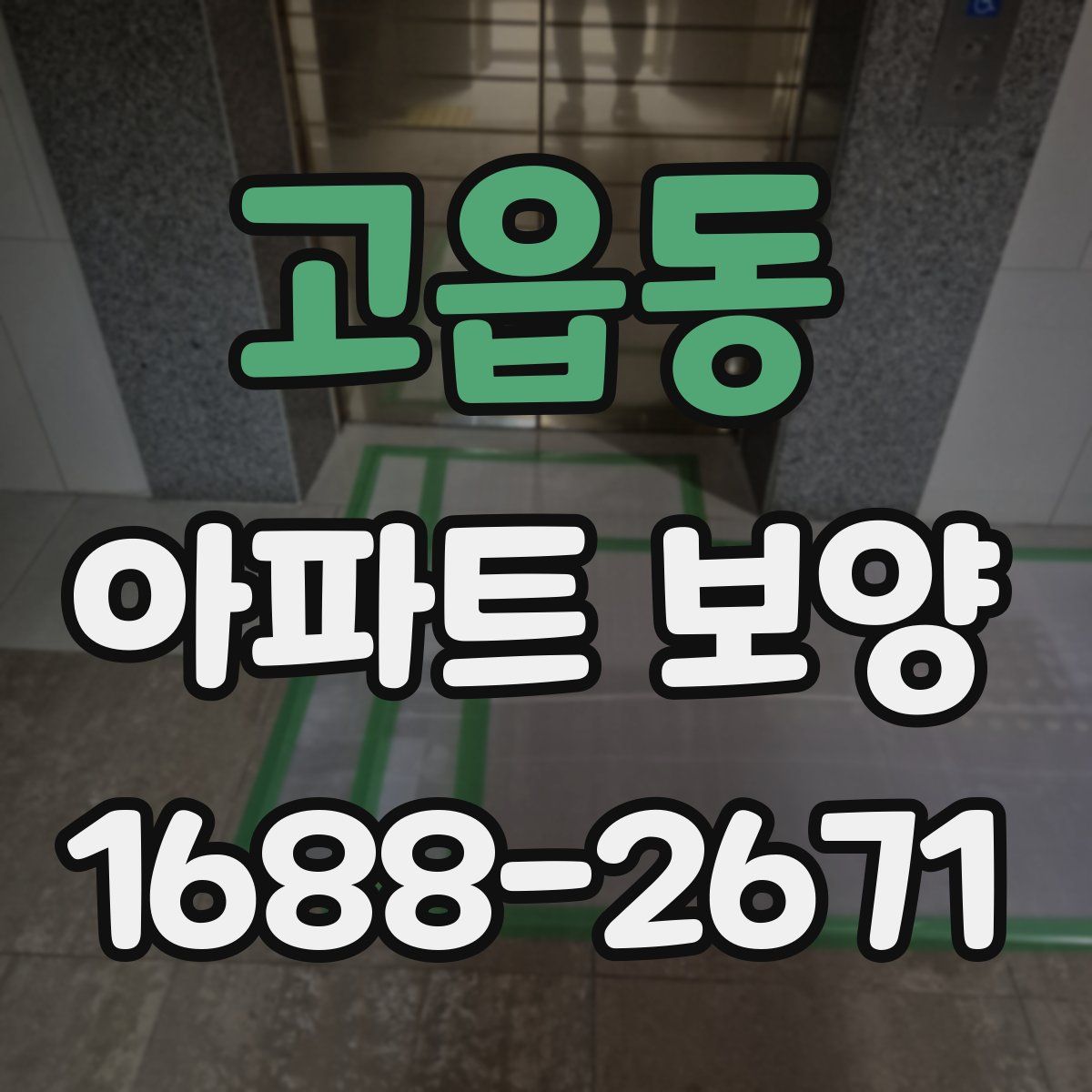 고읍동 아파트 보양