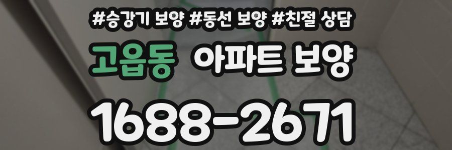 고읍동 아파트 보양