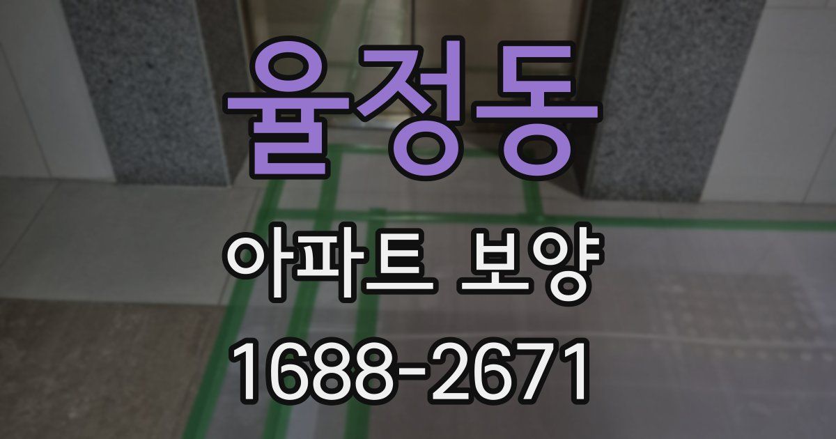 율정동 아파트 보양