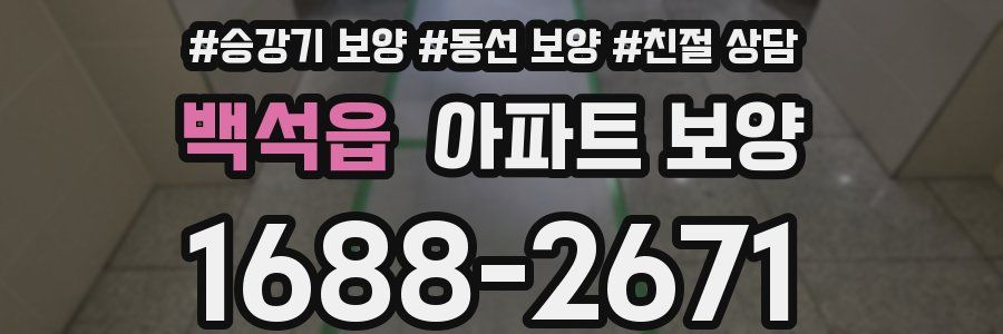백석읍 아파트 보양