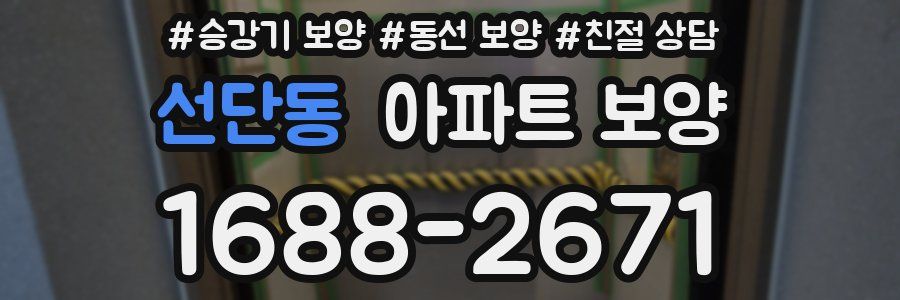 선단동 아파트 보양