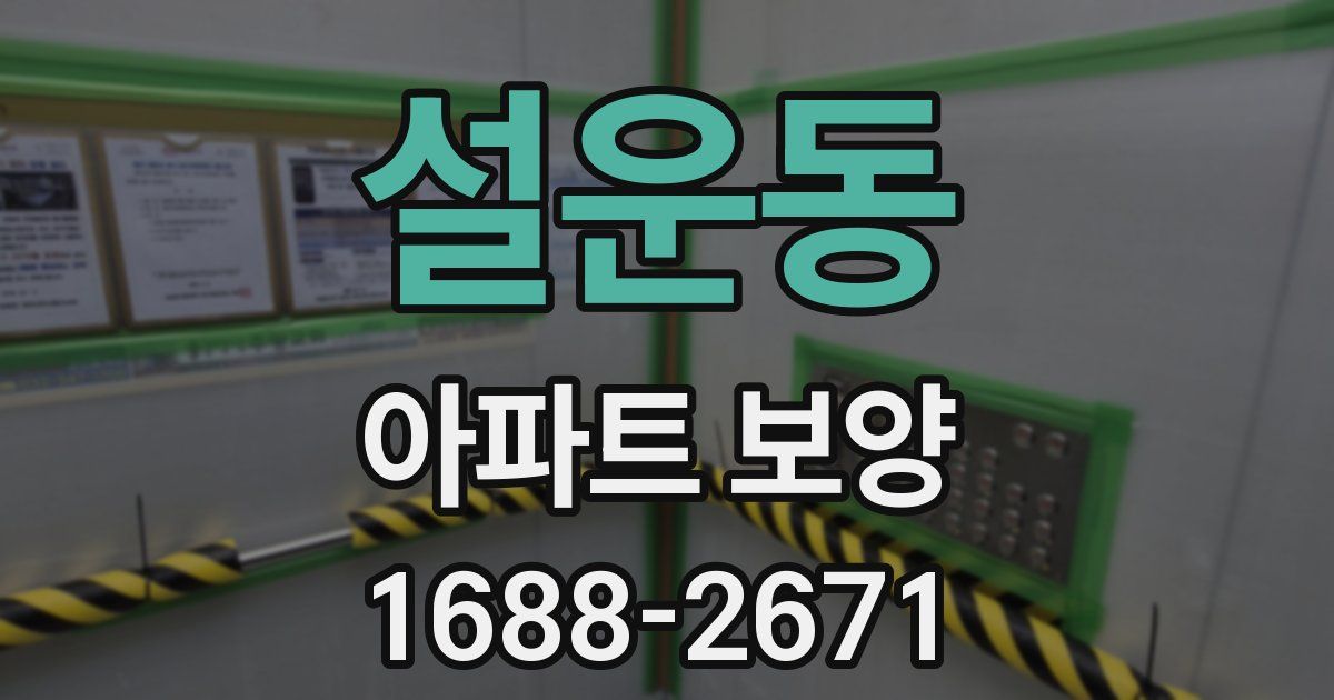 설운동 아파트 보양