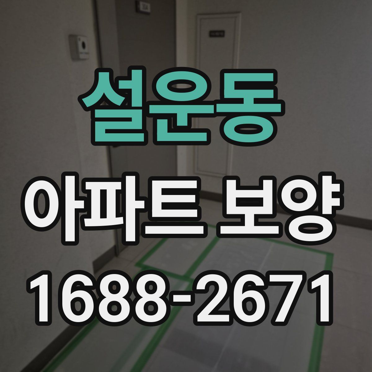 설운동 아파트 보양