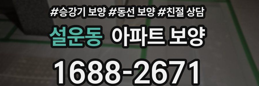설운동 아파트 보양
