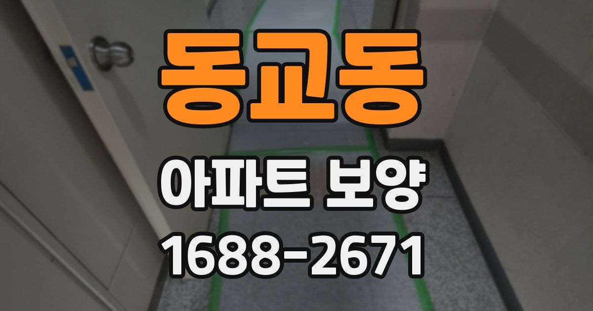 동교동 아파트 보양