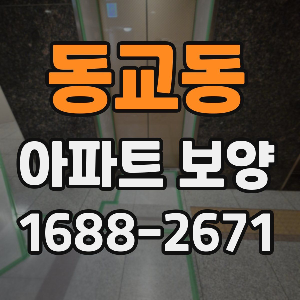 동교동 아파트 보양