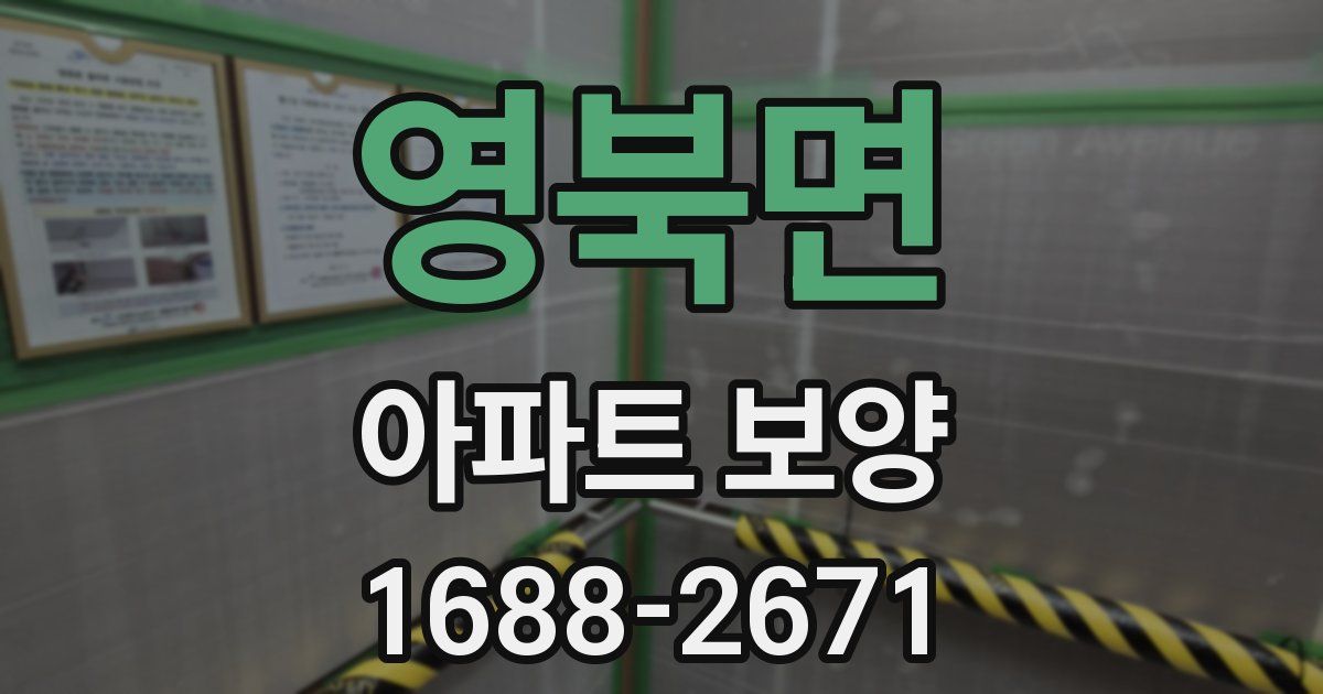 영북면 아파트 보양