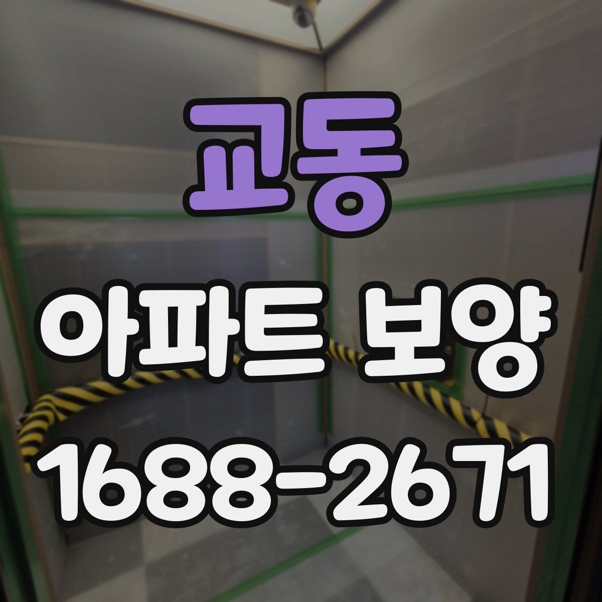 교동 아파트 보양 시 보호 범위를 정하는 방법
