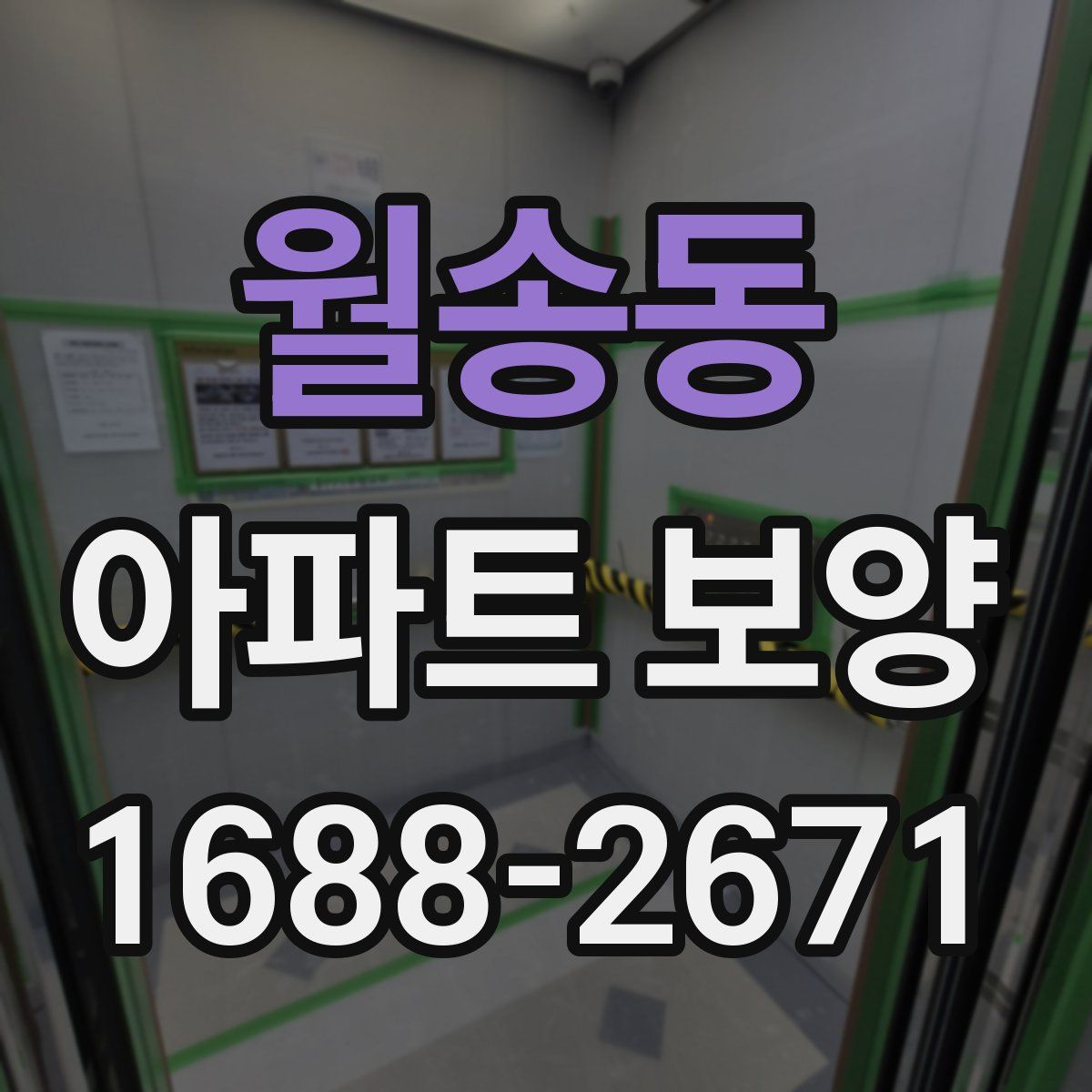 월송동 아파트 보양