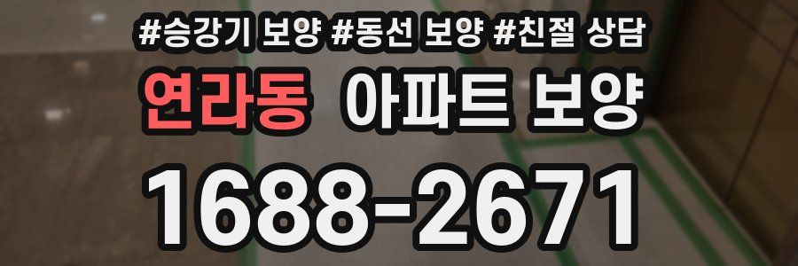 연라동 아파트 보양
