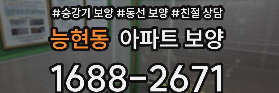 능현동 아파트 보양