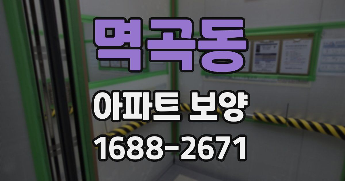 멱곡동 아파트 보양