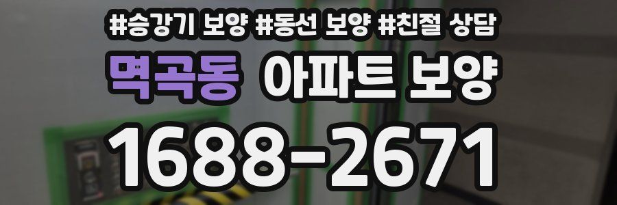 멱곡동 아파트 보양