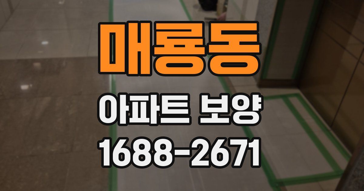 매룡동 아파트 보양