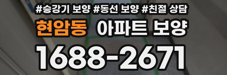현암동 아파트 보양