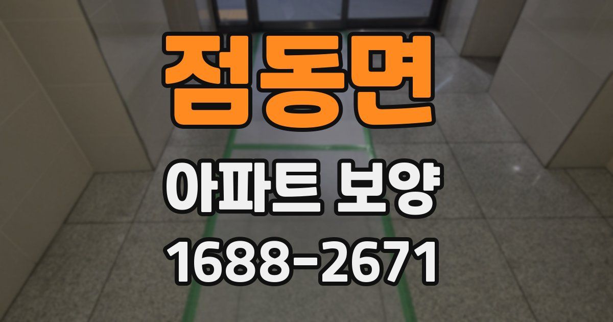 점동면 아파트 보양