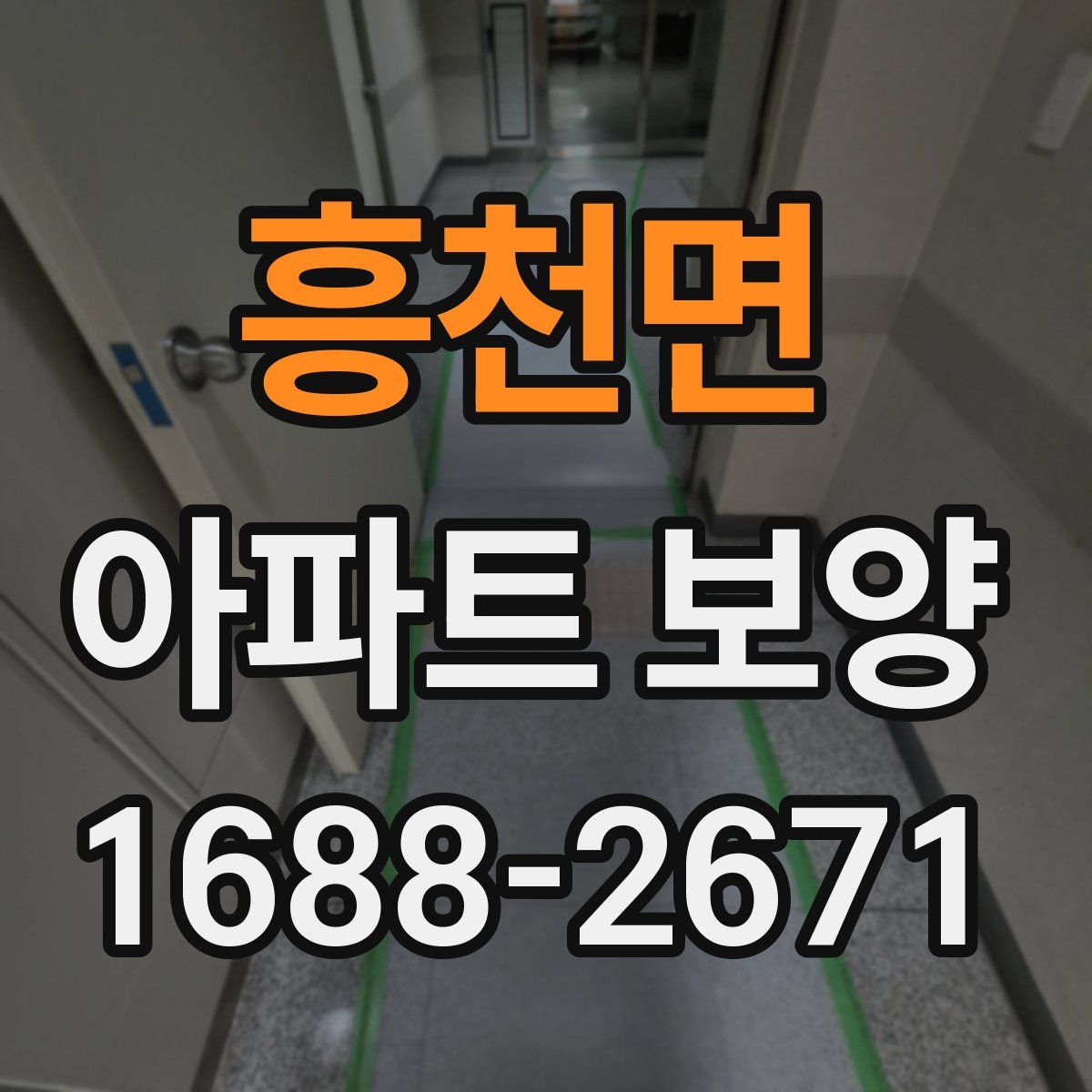 흥천면 아파트 보양