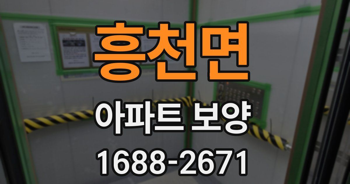 흥천면 아파트 보양