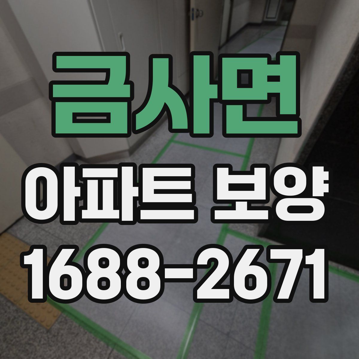 금사면 아파트 보양