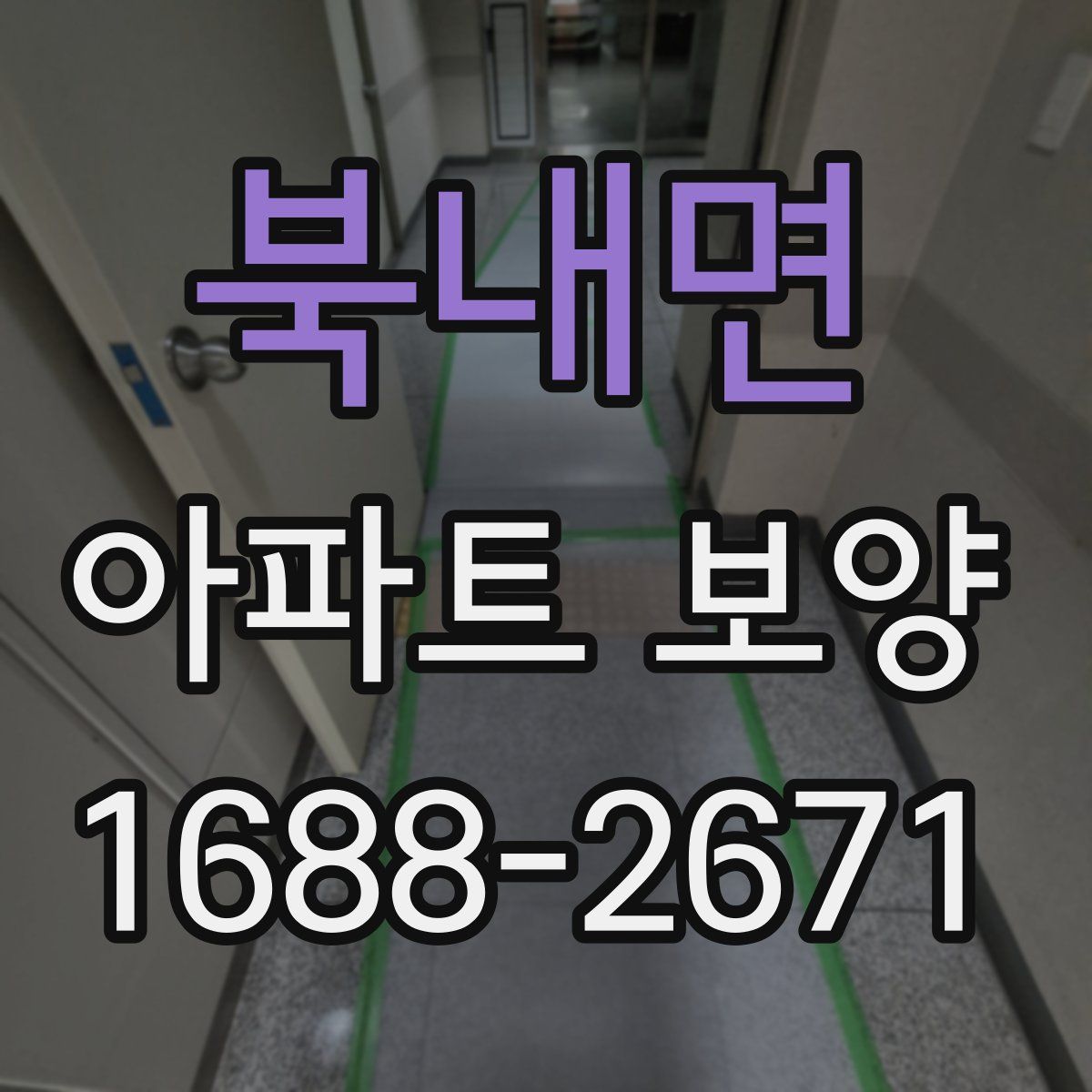 북내면 아파트 보양