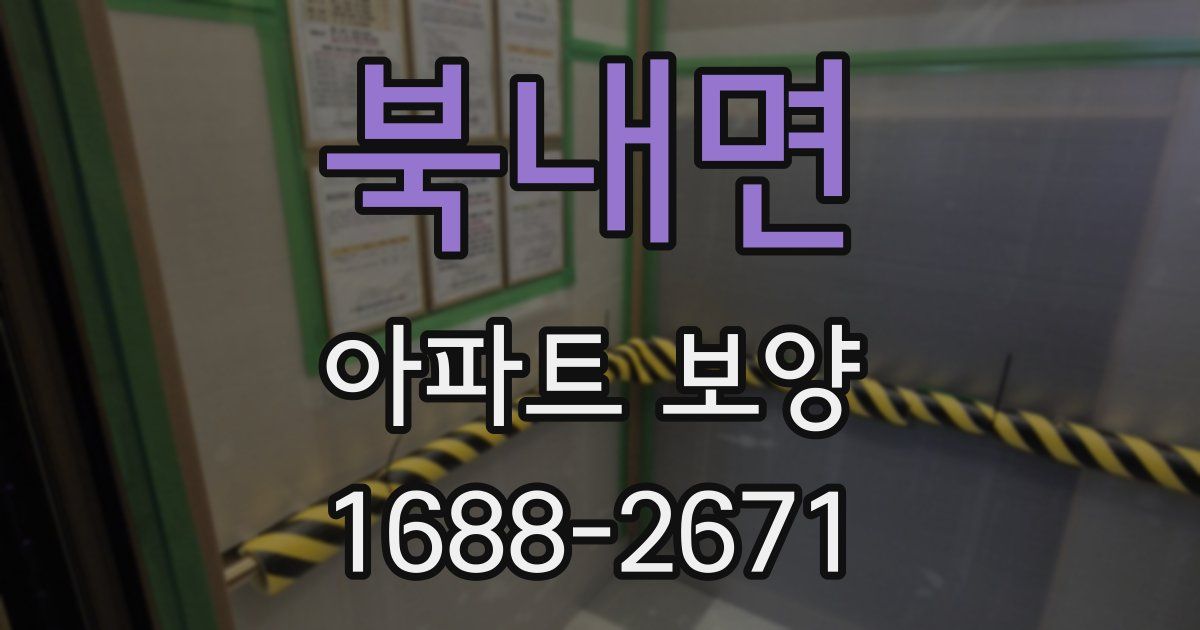 북내면 아파트 보양