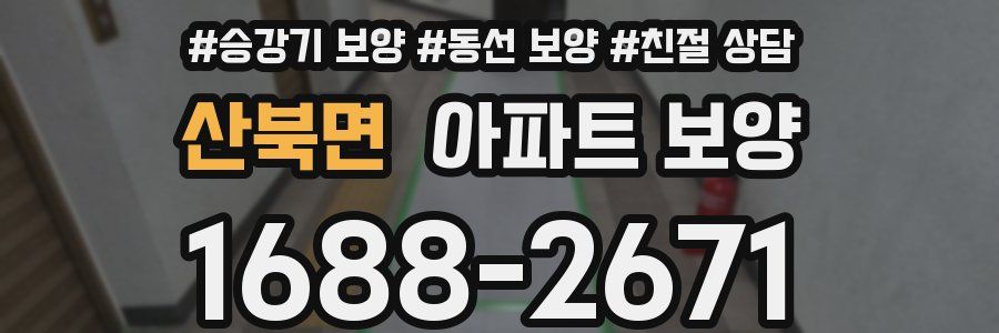 산북면 아파트 보양