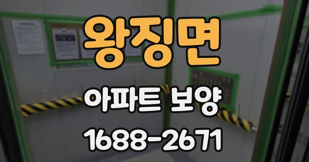 왕징면 아파트 보양