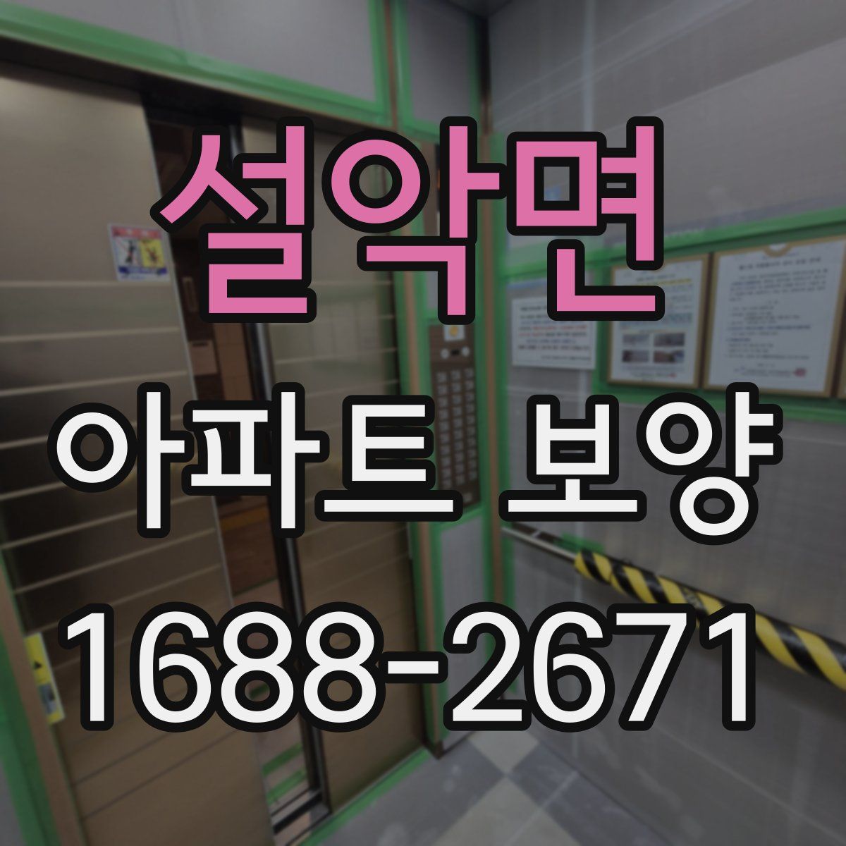 설악면 아파트 보양