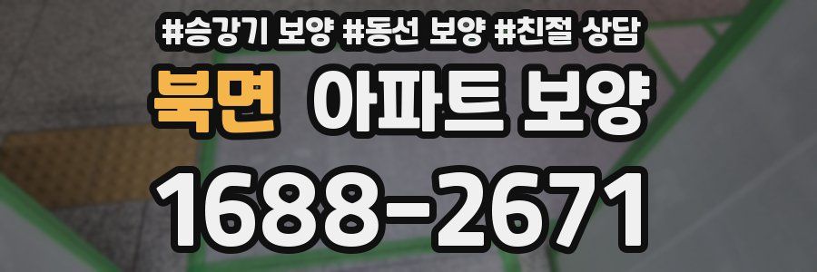 북면 아파트 보양