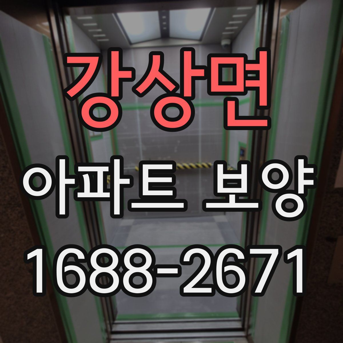 강상면 아파트 보양