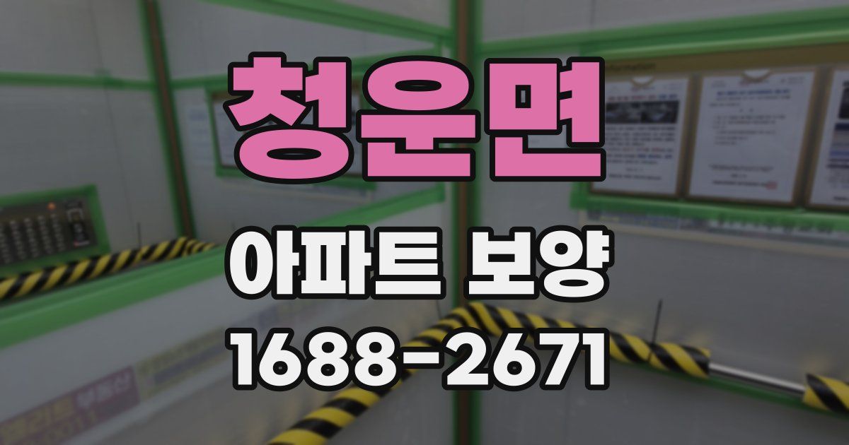 청운면 아파트 보양