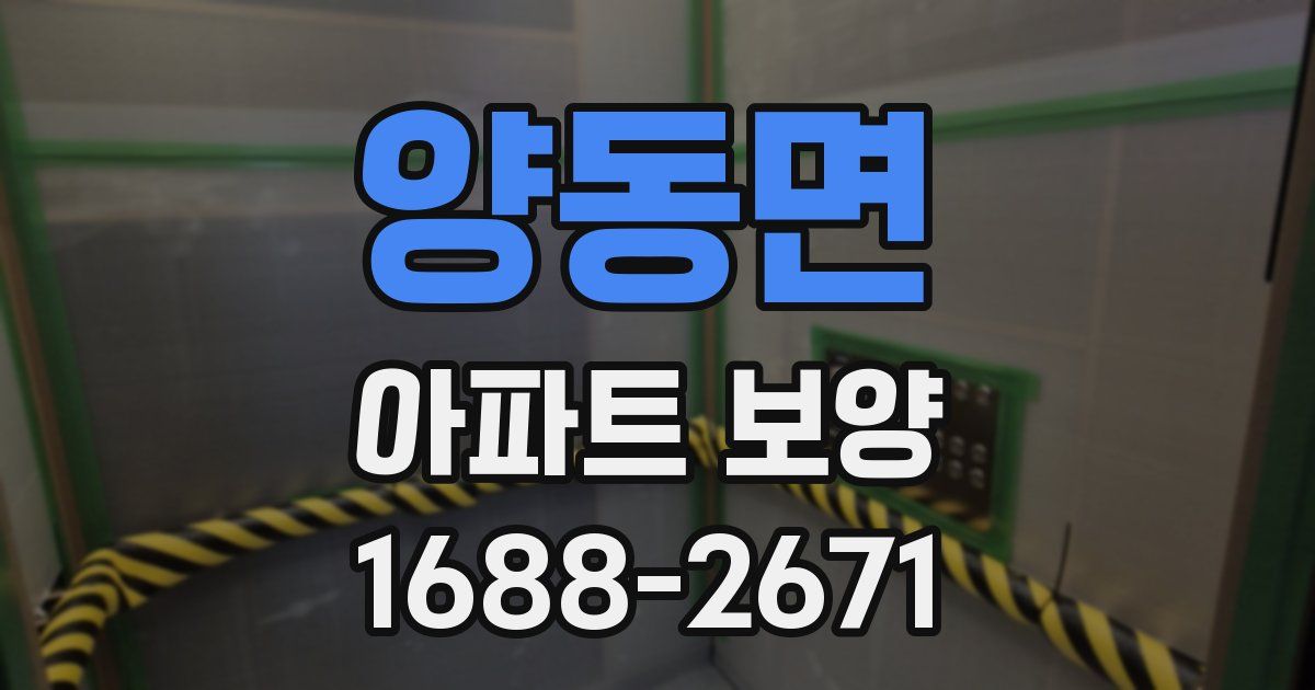 양동면 아파트 보양