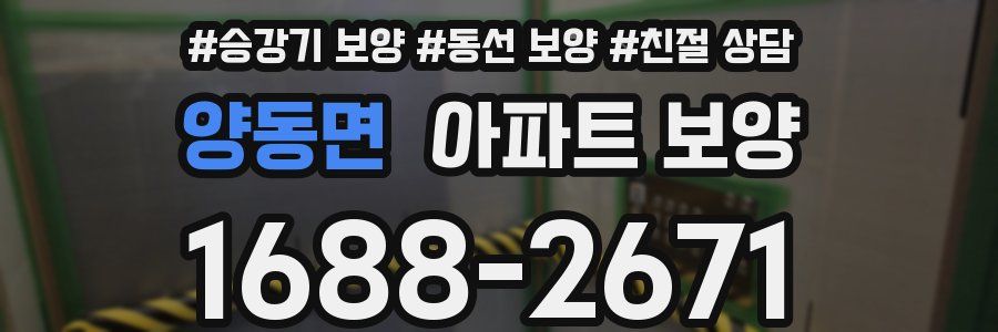 양동면 아파트 보양