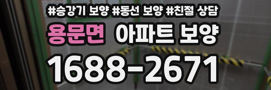 용문면 아파트 보양