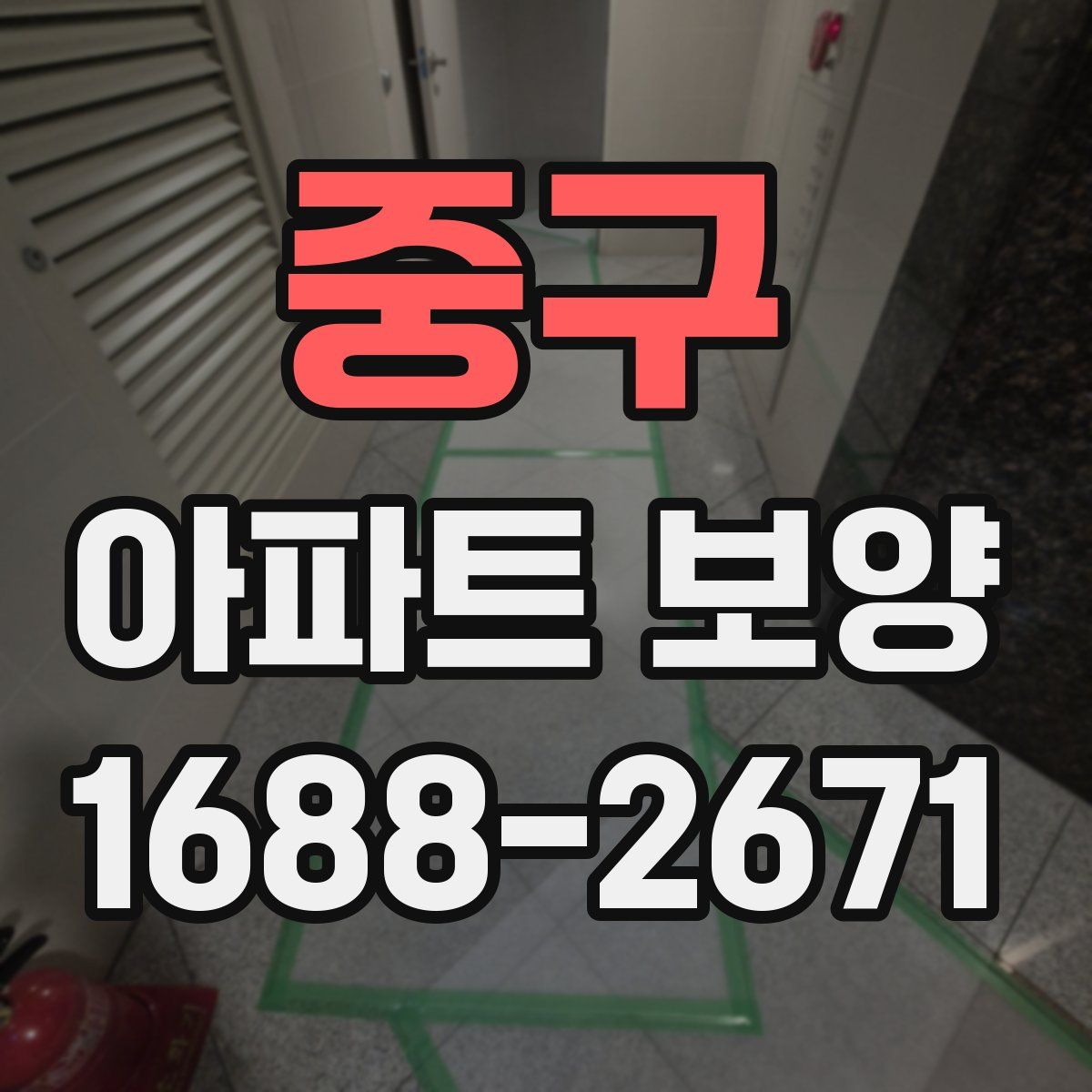 중구 아파트 보양