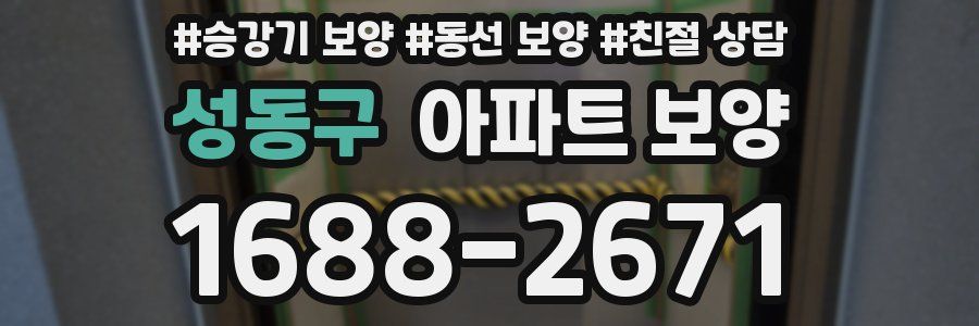 성동구 아파트 보양