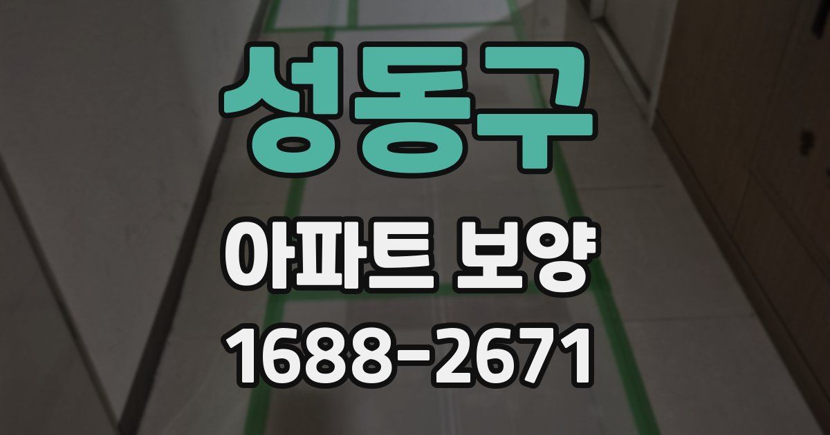 성동구 아파트 보양
