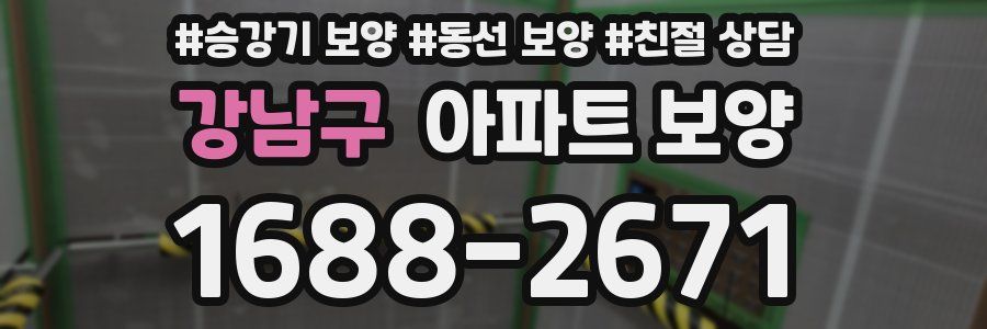 강남구 아파트 보양