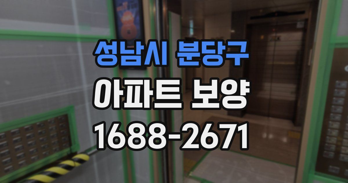 성남시 분당구 아파트 보양