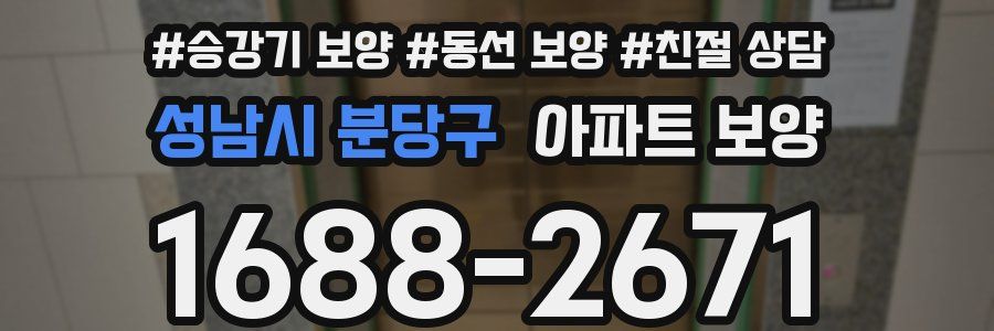 성남시 분당구 아파트 보양