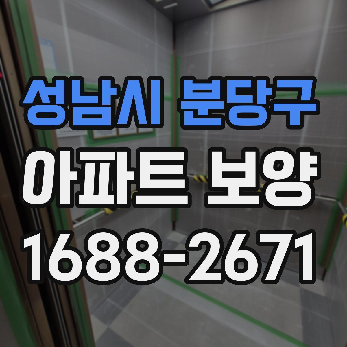 성남시 분당구 아파트 보양
