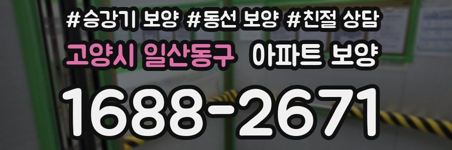 고양시 일산동구 아파트 보양
