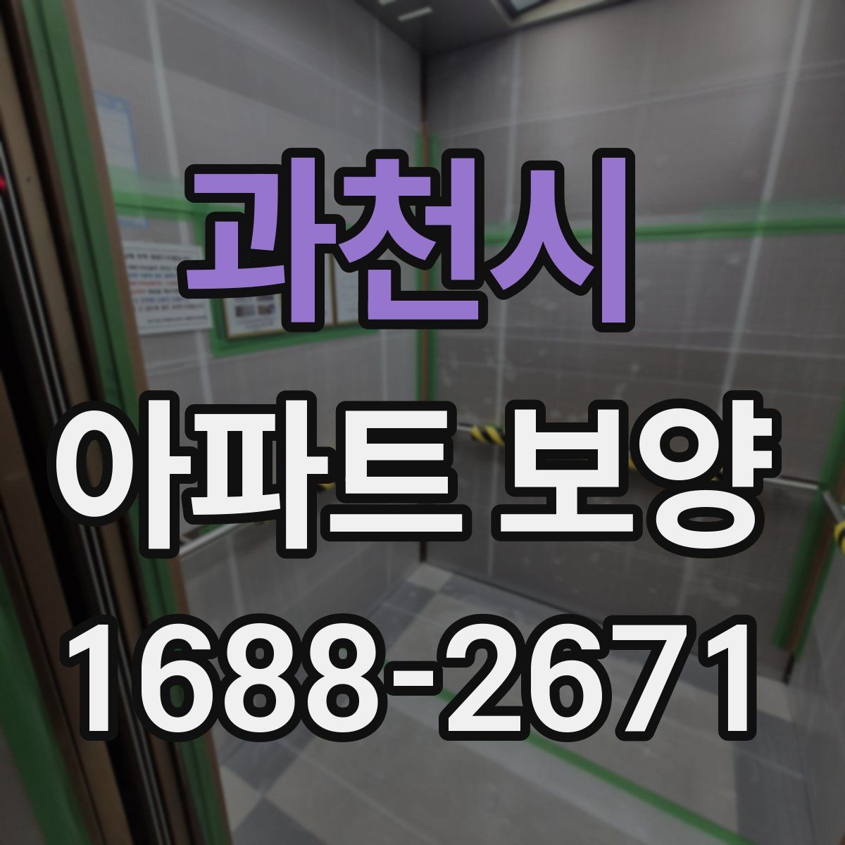 과천시 아파트 보양