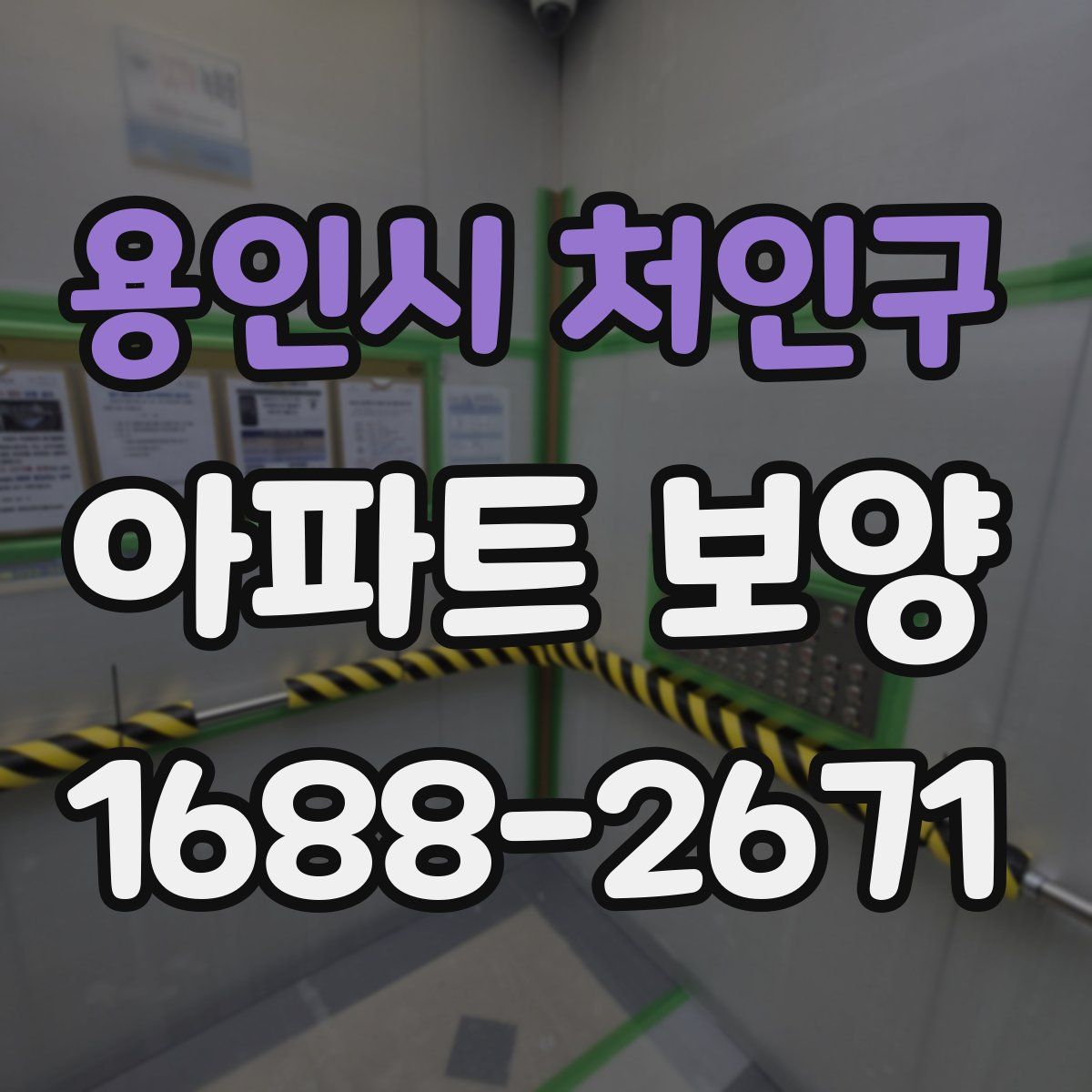용인시 처인구 아파트 보양